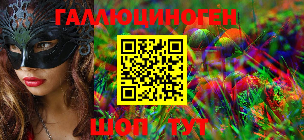 Губаха  Псилоцибиновые грибы Psilocybe  Галлюциногенные грибы MAGIC MUSHROOMS  Вход с VPN 